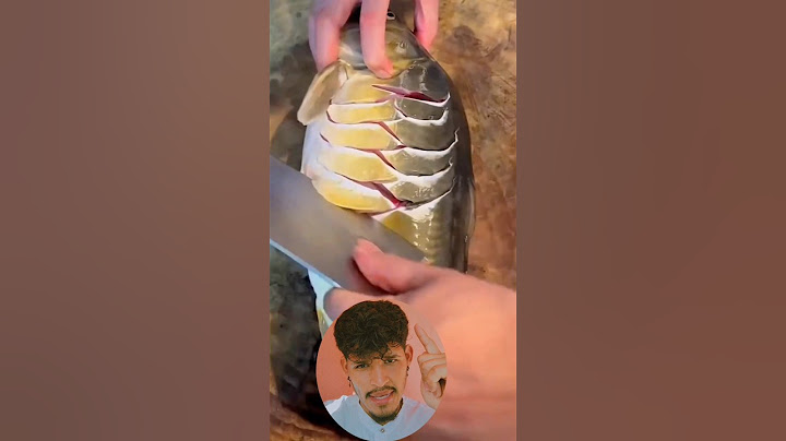 Carpa Royal 🤯🤣 #fishinglife  #pesca #yosoyhader #fishing #fish #funny #shorts