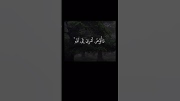 اذكروا الله | سورة غافر الآية ٤٤ #قرآن #سورة_غافر #عبدالباسط_عبدالصمد #اذكروا_الله