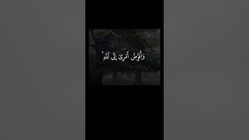 اذكروا الله | سورة غافر الآية ٤٤ #قرآن #سورة_غافر #عبدالباسط_عبدالصمد #اذكروا_الله