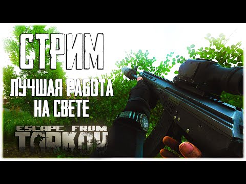 Видео: Стрим Escape from Tarkov "Лучшая работа на свете"