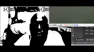 Part 4:  Issues with using lab object recognition code with my own media. Playing videos in order.
