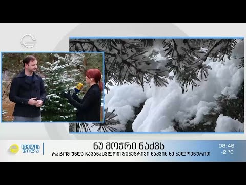 ნუ მოჭრი ნაძვს - რატომ უნდა ჩავანაცვლოთ ბუნებრივი ნაძვის ხე ხელოვნურით