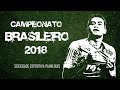 Brasileiro 2018 - Melhores Momentos do Palmeiras (Do 1º jogo até a Grande Final)