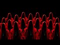 A ROBLOX CULT STREAM