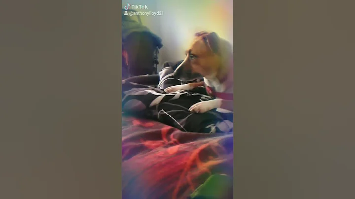 My dog made it on....
