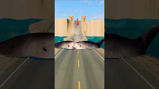Extreme Crashes and Epic Gameplay: Adventures in