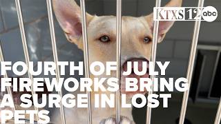 Fourth of July fireworks bring a surge in lost pets