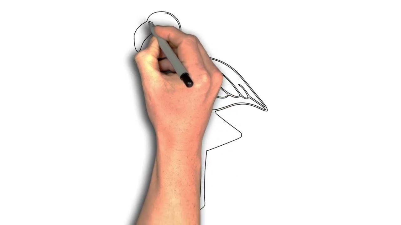How to draw a Flamingo Standing