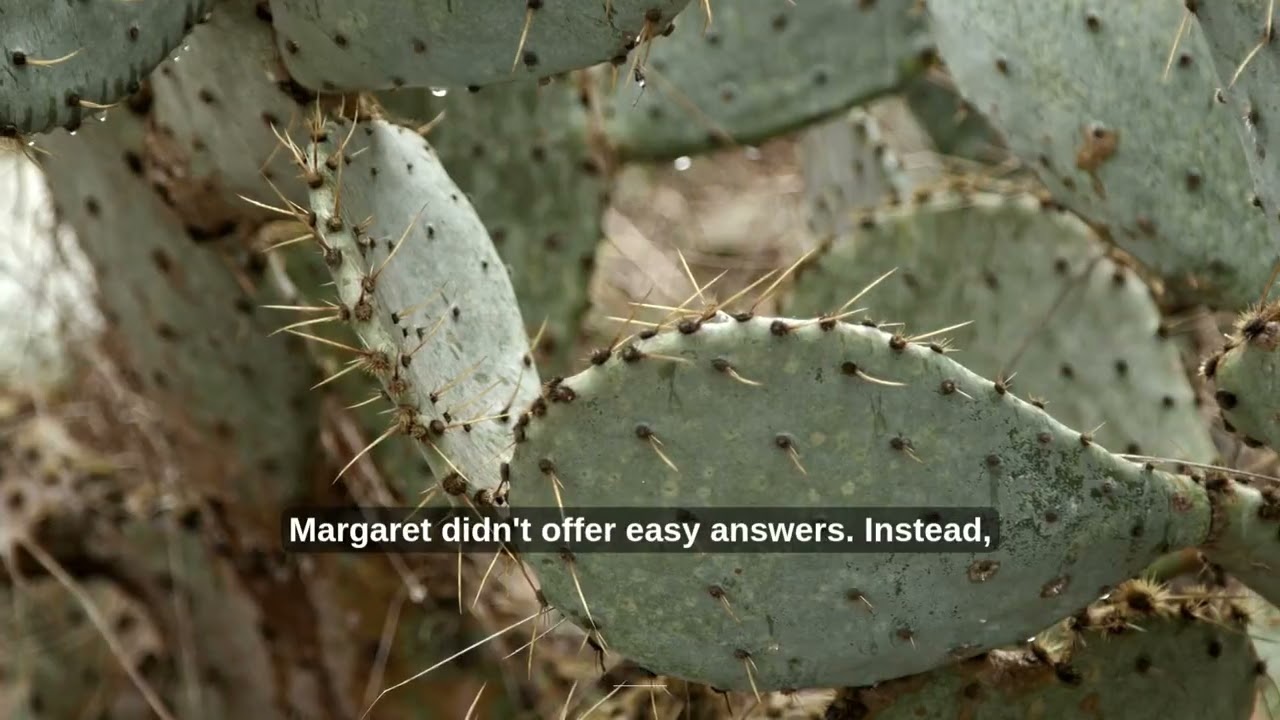 Abbas: A Journey to Faith in Jesus Christ