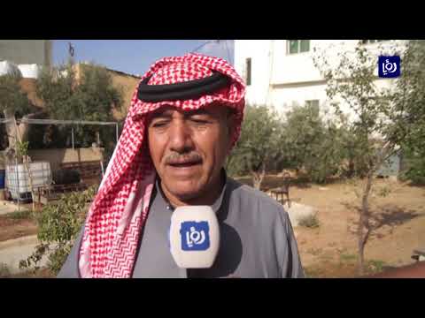 ظاهرة الكلاب الضالة تؤرق أهالي مادبا 20 9 2019