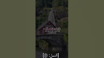 وإن ربك لذو فضل على الناس ولكن أكثرهم لا يشكرون | سورة النمل || سعد الغامدي ||