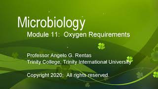 Lab Module 11