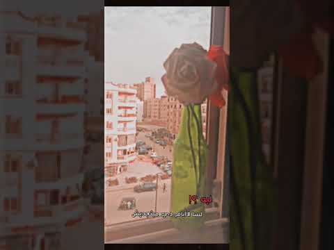 نفس الأيام حالات واتس