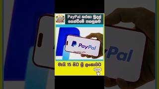 🔥 PayPal ලංකාවට එයි! | May 15 සිට ශ්රී ලංකාවට සෘජුවම මුදල් ගන්න පුළුවන් 🇱🇰💸 #theday #paypal