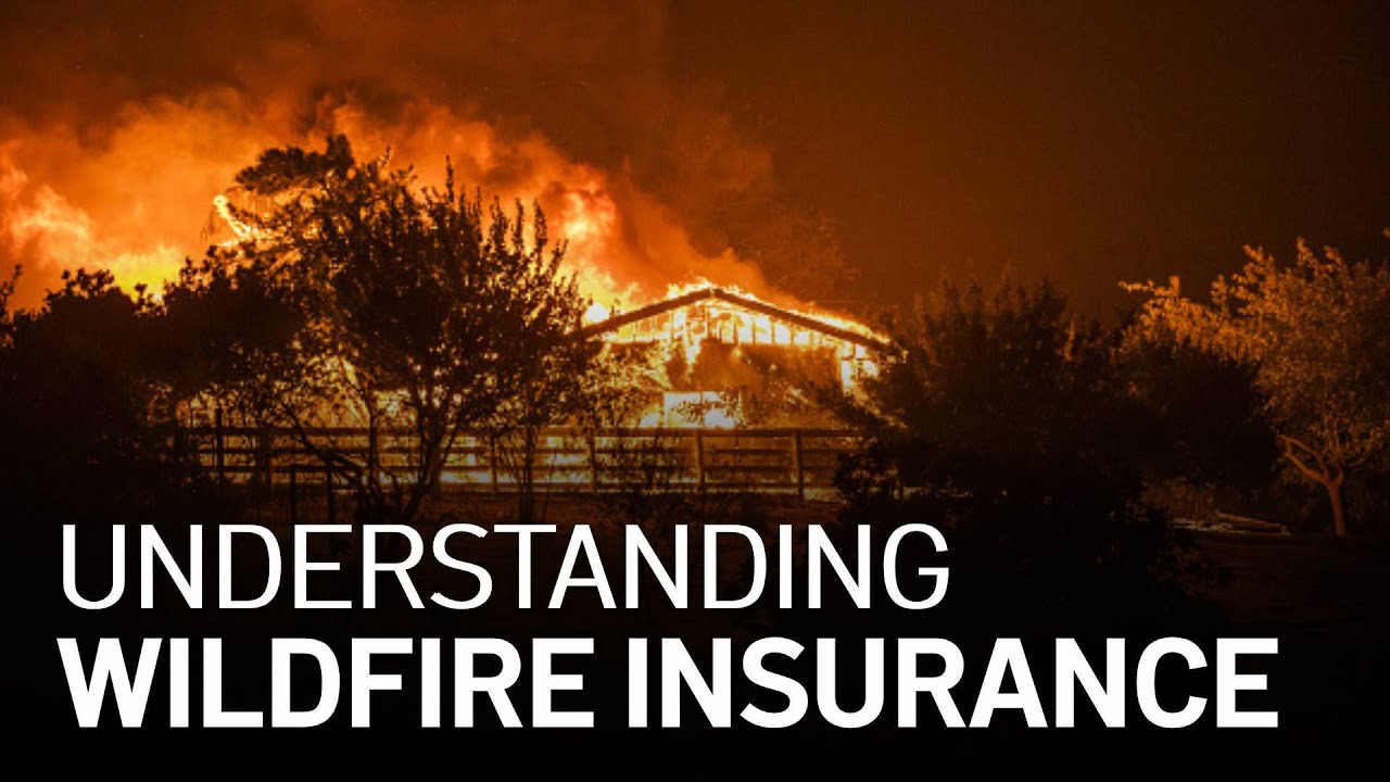 Wildfire Insurance: What You Need to Know - YouTube
