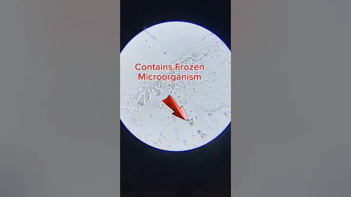 Glacier WATER under a Microscope