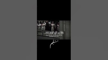 أرح قلبك 🎧😮‍💨 #آيات_السكينة #مُسْلِم