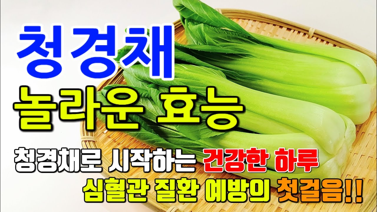 청경채 놀라운 효능