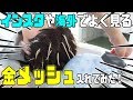 【ヘアカラー】海外の動画でよく見る金メッシュやったらカッコよすぎた…！