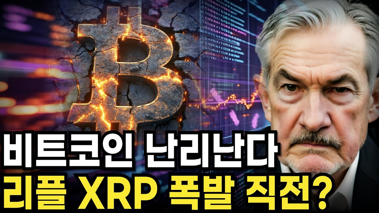 머니 블라블라 유튜브 채널 분석 보고서 - NoxInfluencer