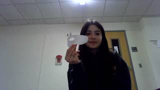 Spanish midterm capibara con botas