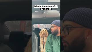 Dog solves the hardest math problem 😳 #shorts #dogs