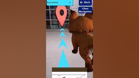 AR Library Navigator | 3D Fox