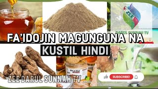 !Fa’idojin Magunguna Na “KUSTIL HINDI” Cututtuka da take warkarwa!