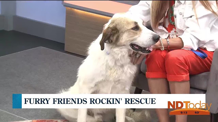 ND Today: Furry Friends