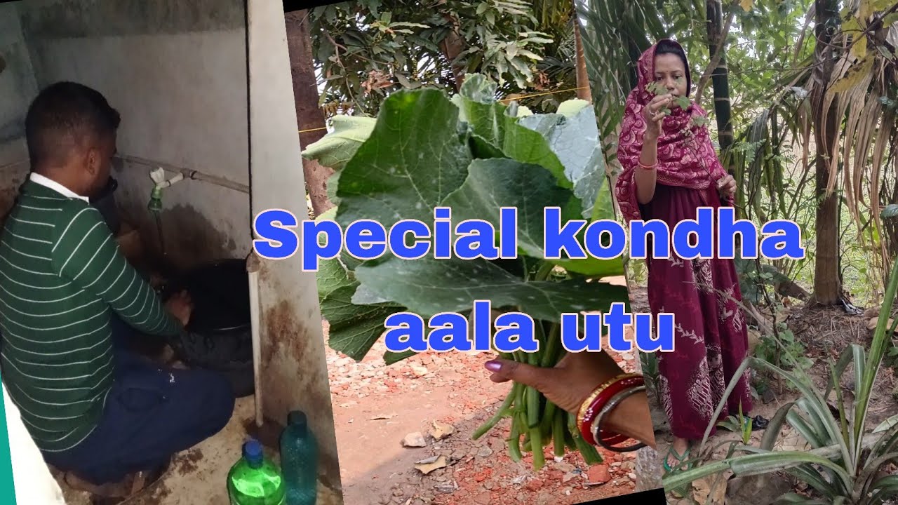 Special kondha aala utu//santali new vlog video//payel Purna vlogs 
