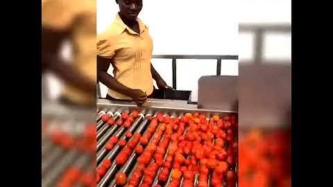 Tomato Paste Processing Line/Tomato paste turnkey project