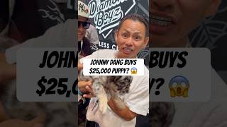 #JohnnyDang buys $25,000 puppy? 😱 #hiphopnews #puppylove #frenchie #shorts