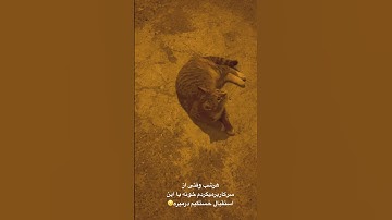 بهترین استقبال تاریخ با اختلاف متعلق به ایشونه🥹