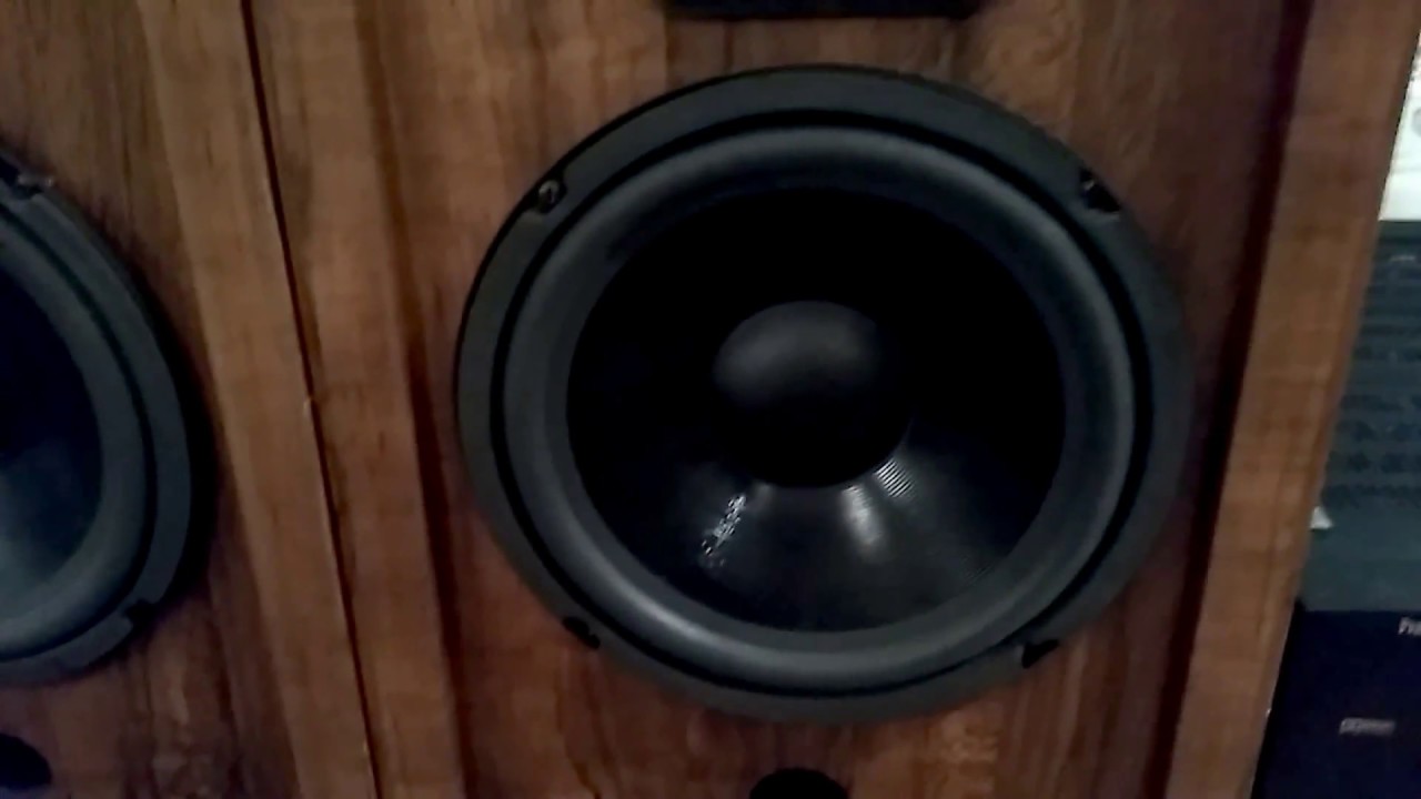 cerwin vega d1 speakers