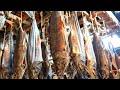 Amazing Japanese Food Collection | Salted Aged Salmon, Traditional Sweets, Tempura Rice Bowl