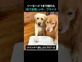 ソーセージ1本で崩れた友情…いや、プライド