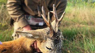 Roebuck hunt in the rut - best three shoots, Bockjagd in Blattzeit