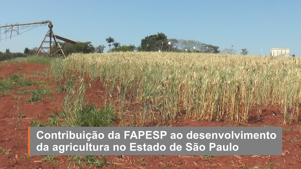 Contribuição da FAPESP ao desenvolvimento da agricultura no Estado de ...