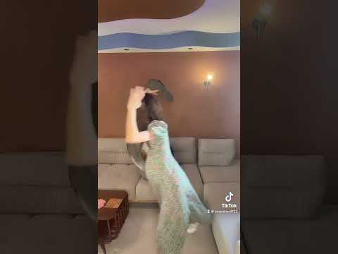 ابني انا و يارا