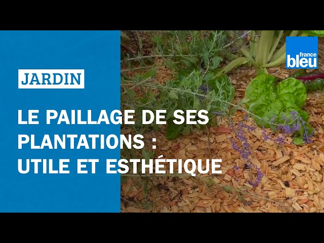 Mettre une Toile de Paillage SOUS les Copeaux : la Pire Erreur !! 