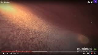 CBSE Class 10 Reproduction 5th part | Sexual reproduction in human from fertilisation upto STDs