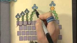 Picot Trim using Seed Beads with Leslie Rogalski for John Bead