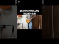 SEXMACHINEGUNS 頬白鮫の悲劇  ギターソロ弾いてみた #ギター #弾いてみた #guitar #metal