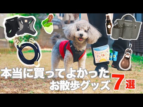ペットと散歩 hqdefault.jpg?v=65c75588