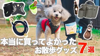 🐶愛犬とのお散歩がもっと楽しくなる！本当に買ってよかったお散歩グッズ７選