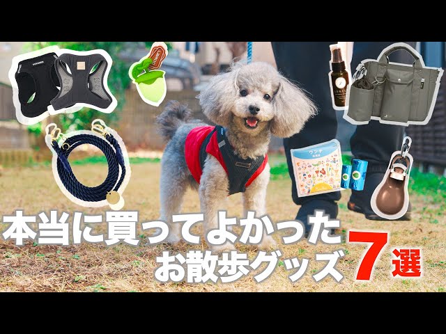 お出かけ・お散歩用品 toshiyaaman お出かけ・お散歩用品 toshiyaaman KIDS&OTHERS お出かけ・お