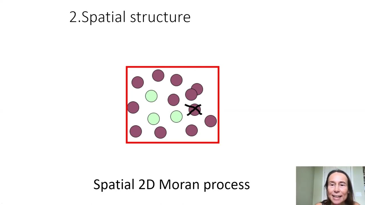 Evolutionary Modeling of Cancer
