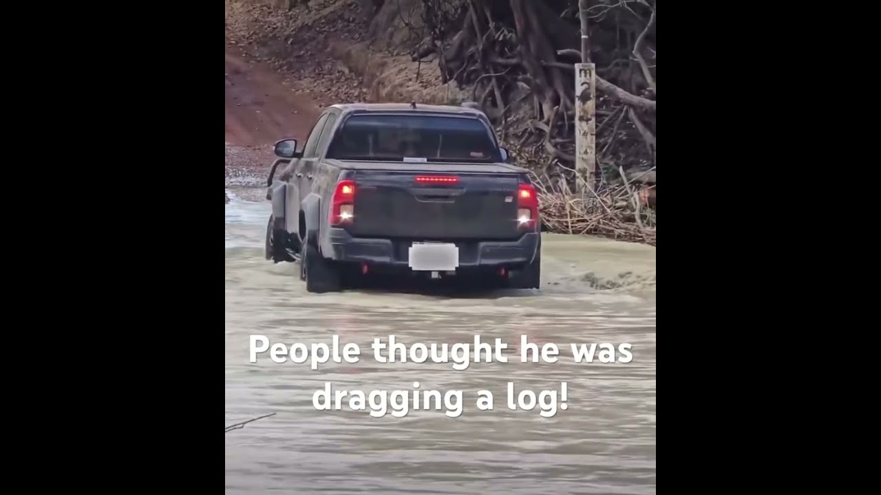 People Thought He Was Dragging A Log Flood Floods Floodwater