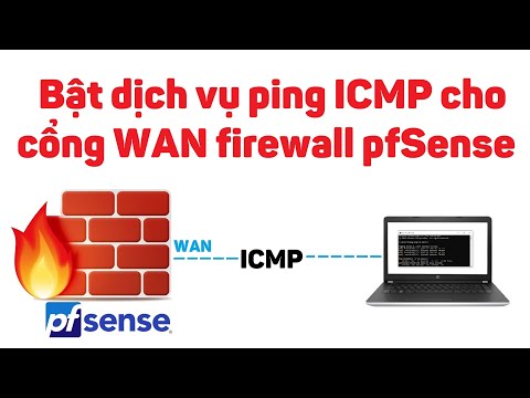 Video: ICMP là không kết nối hay định hướng kết nối?