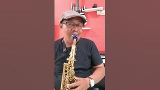 Hampa Ari Lasso (Saxophone Cover )